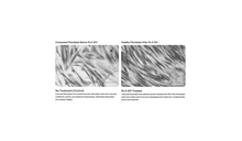 Load image into Gallery viewer, ReQ (Longevity Serum)