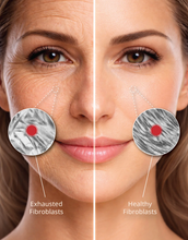 Load image into Gallery viewer, ReQ (Longevity Serum)